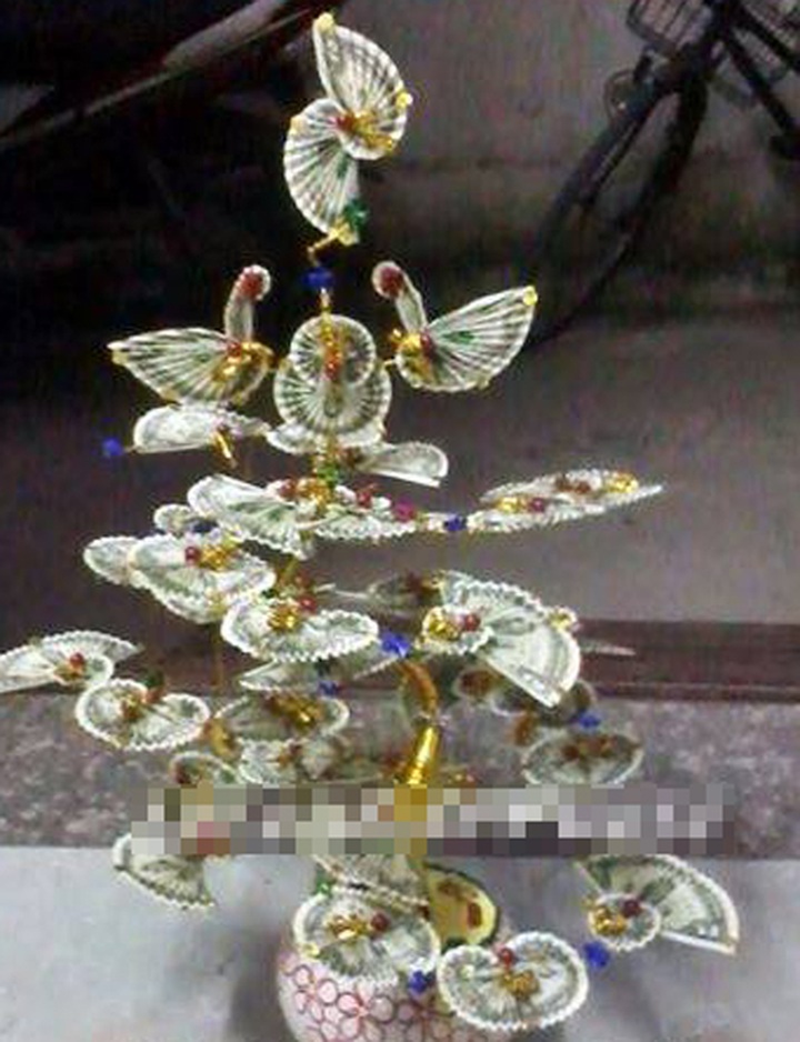'Money trees' popular for upcoming Tet - 2 'Money trees' popular for upcoming Tet - 2