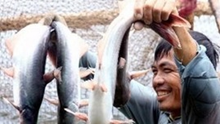 Cooperative economy promoted in Mekong Delta - 1 Cooperative economy promoted in Mekong Delta - 1