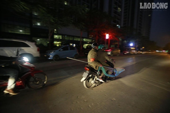 Hanoi starts catching stray dogs to fight rabies - 2