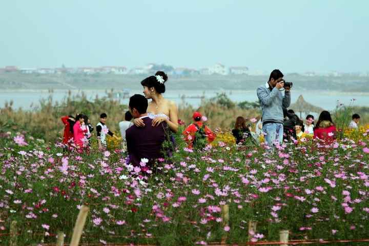 Young flock to see Nhat Tan peach blossoms - 5 Young flock to see Nhat Tan peach blossoms - 5