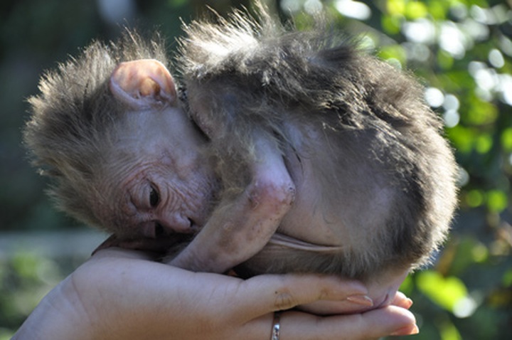 Vietnam through the lenses of young photographers - 4