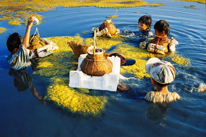 Vietnam through the lenses of young photographers - 9