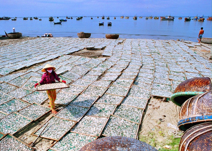 Vietnam through the lenses of young photographers - 13