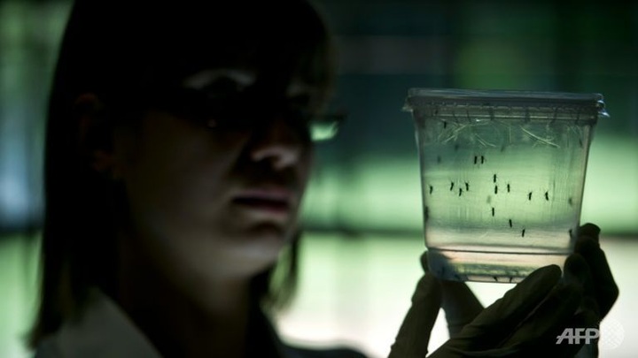 Airports boost efforts to stop spread of Zika virus: UN agency - 1