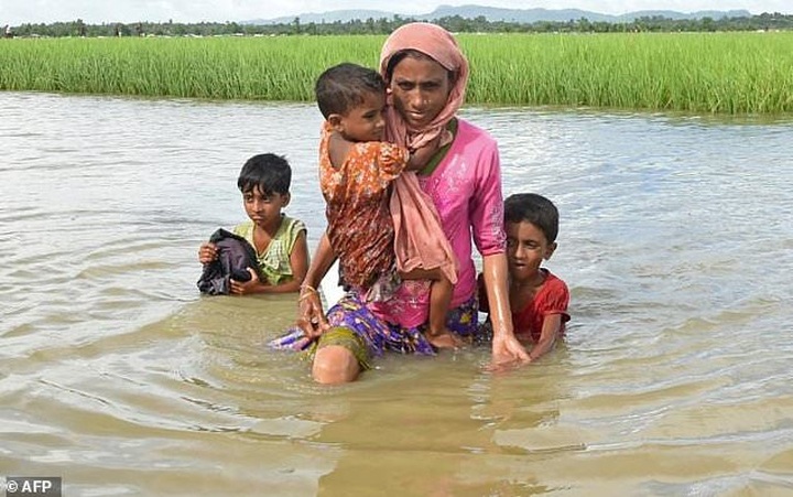 Myanmar has failed to protect Rohingya from atrocities: UN - 1