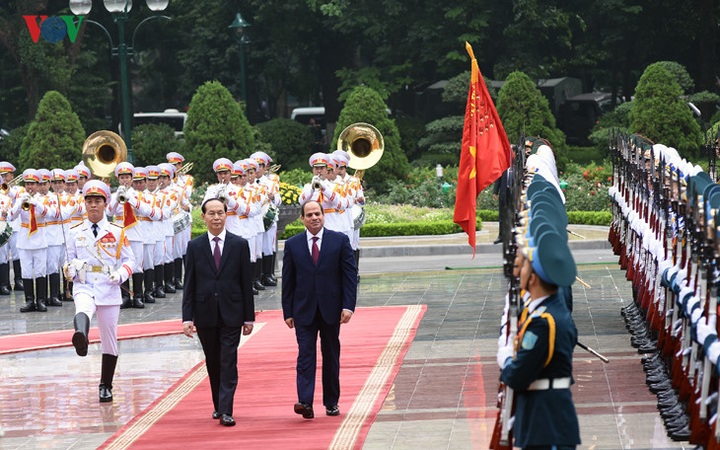 Vietnam, Egypt vow to raise trade value to US$1 bln - 1