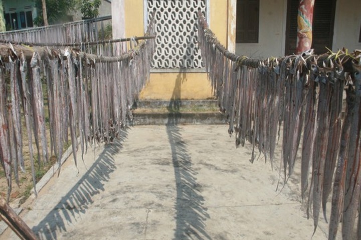 Sea gives up bumper Tet harvest for happy fishermen - 6