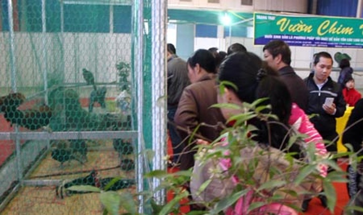 Special king offerings now in Hanoi for Tet - 10 Special king offerings now in Hanoi for Tet - 10