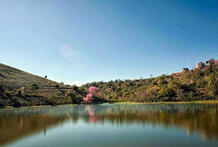 Cau Dat tea hills in Da Lat - 12