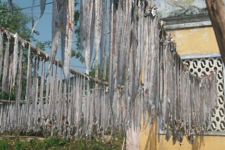 Sea gives up bumper Tet harvest for happy fishermen - 3