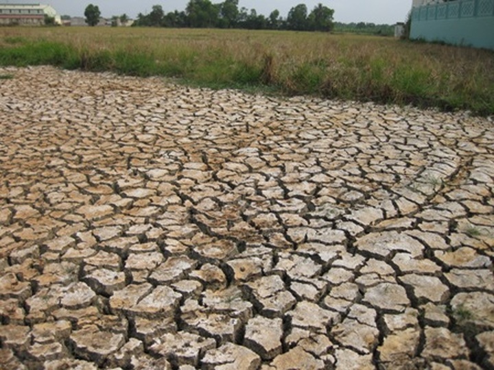 Ben Tre Province coastal areas suffer severe water shortage - 2