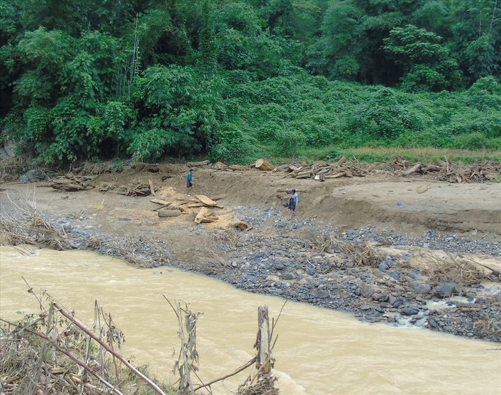 Mystery timber washed up after Thanh Hoa floods - 3