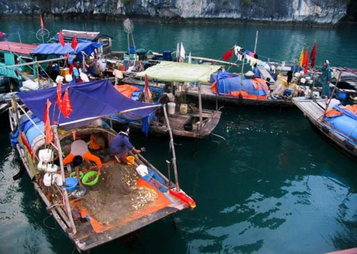 Photo exhibition on Vietnam opens in Uruguay - 2