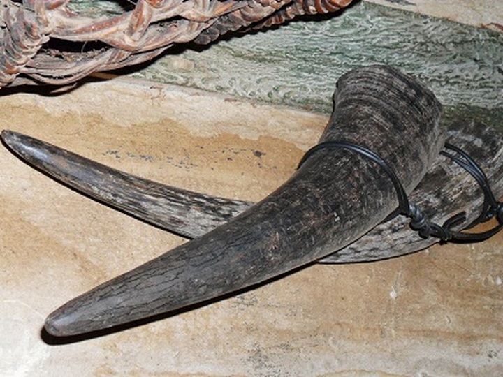 Elephant hunting equipment on display - 2