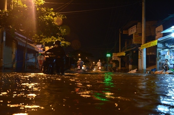HCM City: flood tide hits record level - 1