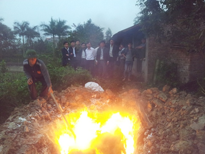 Illegal cockroach farms bring lawsuit - 1