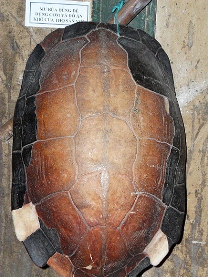 Elephant hunting equipment on display - 4