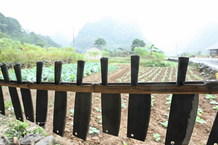 Traditional blacksmith craft of Nung An people - 5 Traditional blacksmith craft of Nung An people - 5