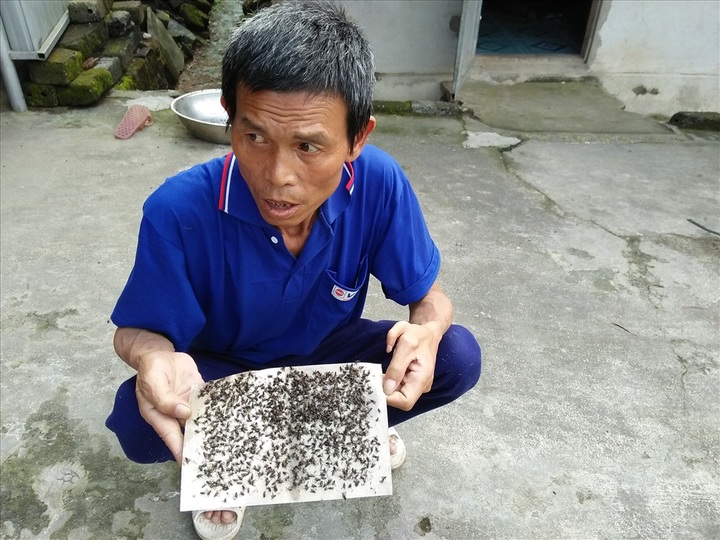 Overloaded dumping site tortures locals - 5