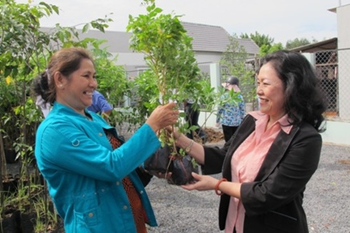 HCM City branches out with green space scheme - 1