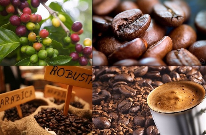 December 10 designated Vietnam Coffee Day - 1