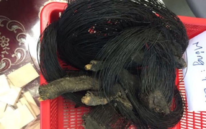 Suspected animal bone glue seized at Noi Bai Airport - 1