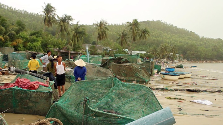 Aquaculture farmers need new loans after Damrey - 1