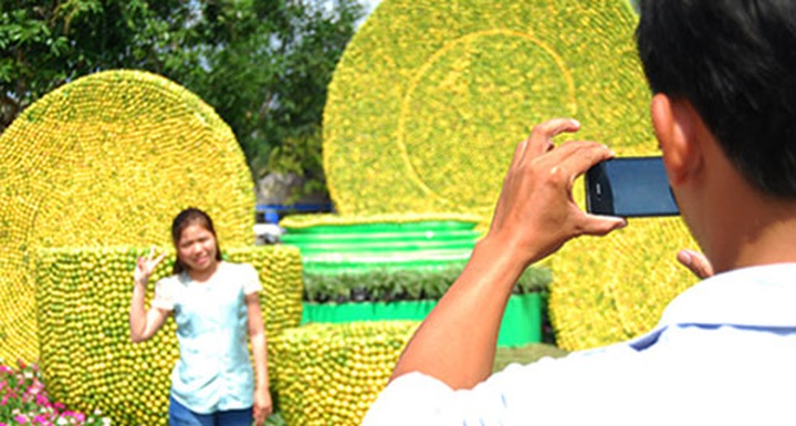 Lemon-made tea-set makes Vietnam record - 14 Lemon-made tea-set makes Vietnam record - 14