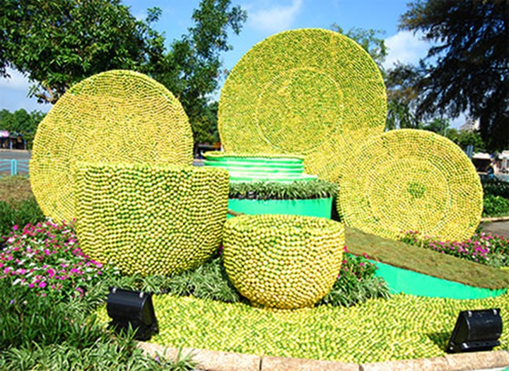 Lemon-made tea-set makes Vietnam record - 3 Lemon-made tea-set makes Vietnam record - 3