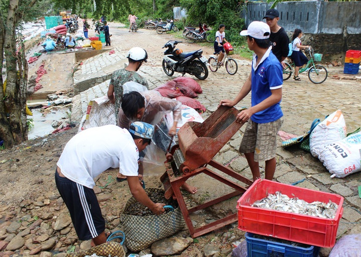 Aquaculture farmers need new loans after Damrey - 2