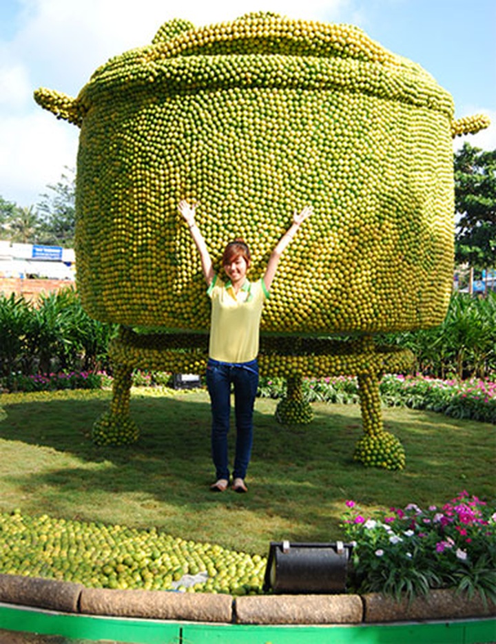 Lemon-made tea-set makes Vietnam record - 6 Lemon-made tea-set makes Vietnam record - 6