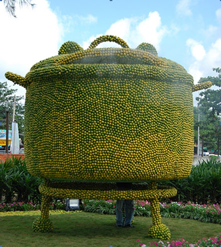 Lemon-made tea-set makes Vietnam record - 7 Lemon-made tea-set makes Vietnam record - 7