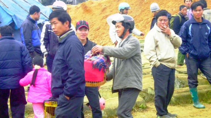 Wild birds hunted for sales at bird market - 1