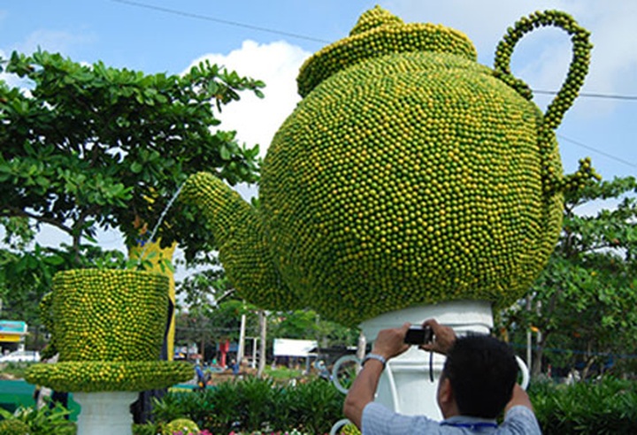 Lemon-made tea-set makes Vietnam record - 9 Lemon-made tea-set makes Vietnam record - 9