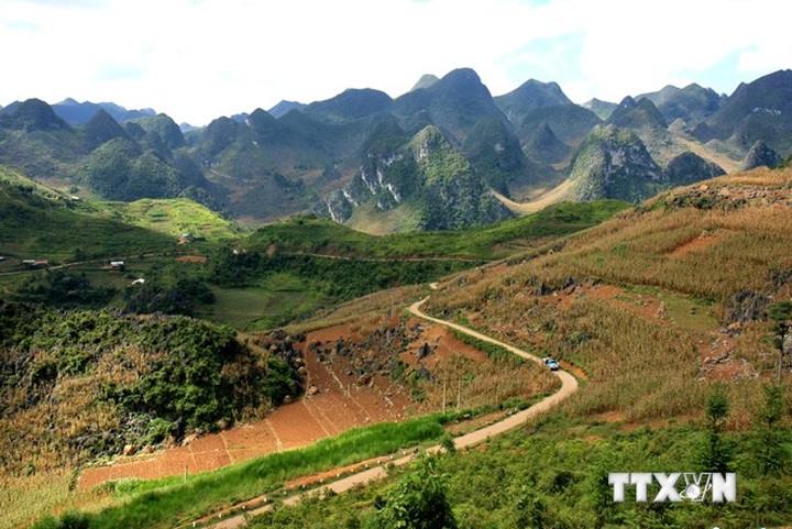 More prehistoric vestiges discovered in Dong Van Karst Plateau - 1