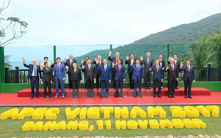 APEC economic leaders issues Da Nang Declaration - 1