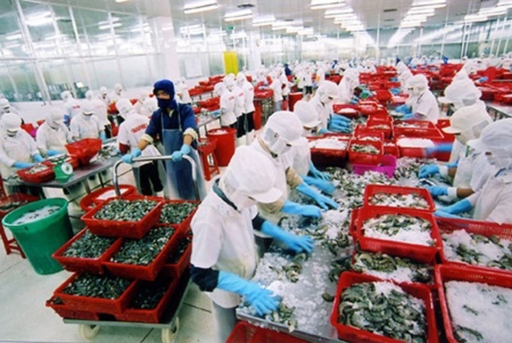 Seafood exports forecast to top $8b mark in 2015 - 1