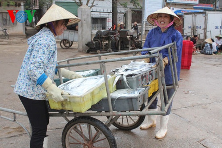 A big haul for fishermen in early 2014 - 10