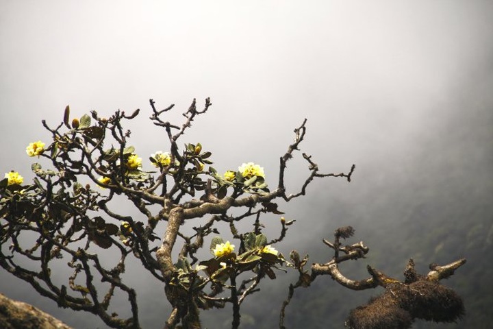 Admiring starry sky on Bach Moc Luong Tu mountain top - 11