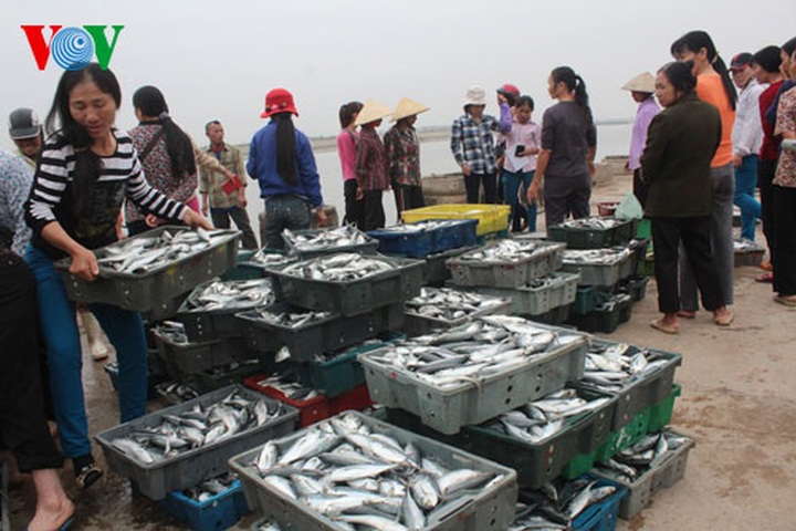 A big haul for fishermen in early 2014 - 2