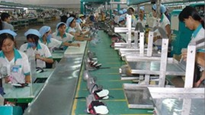 Vietnamese businesses five years after joining the WTO - 1