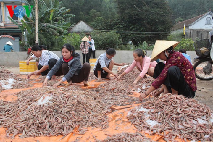 A big haul for fishermen in early 2014 - 5