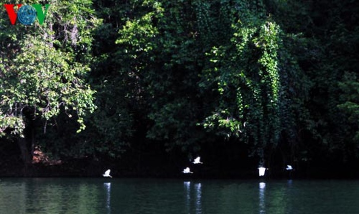 Ba Be – one of 100 largest freshwater lakes in the world - 6