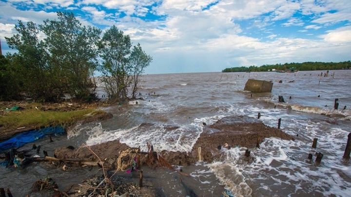 European countries implement climate change projects in Mekong Delta - 1