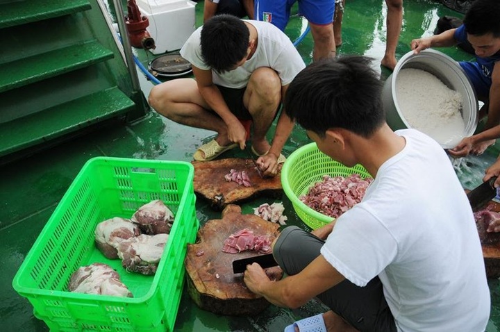 Tet preparations at Truong Sa Islands - 9 Tet preparations at Truong Sa Islands - 9