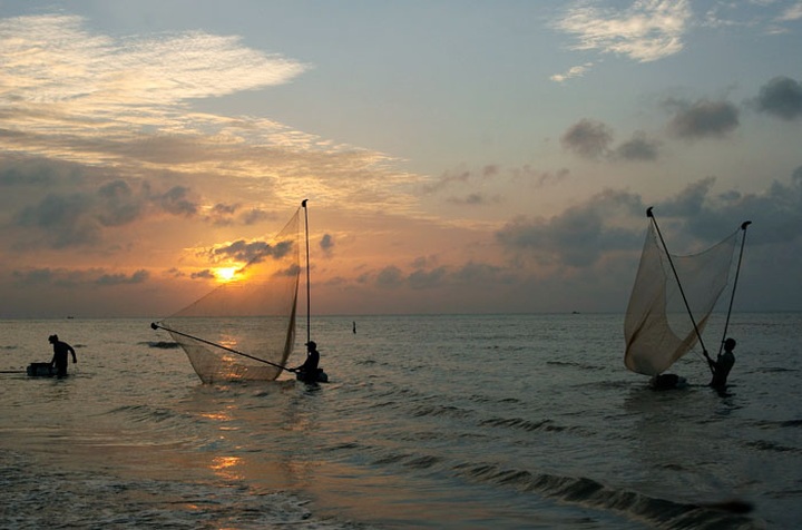 Primitive beach in Tra Vinh - 1