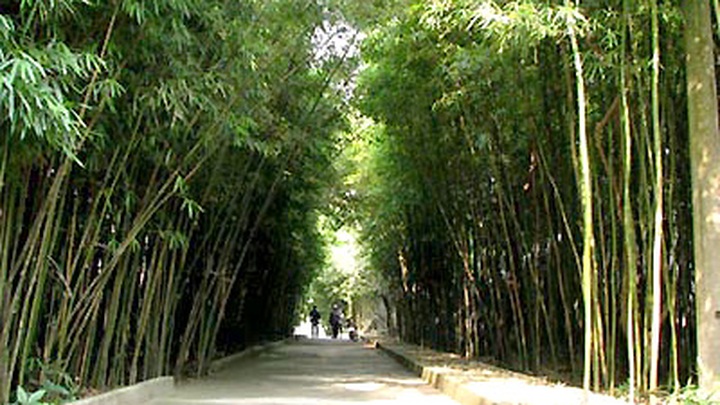 Forbidden Mountain - 2