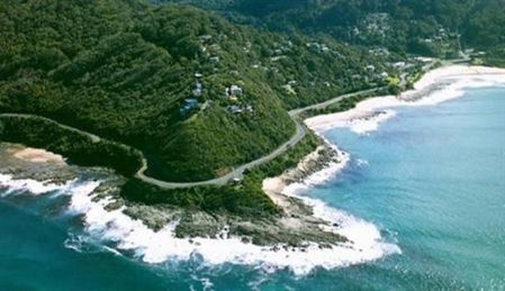 Green guards of Son Tra Nature Reserve - 1