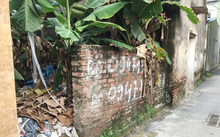 Bridges projects boost land prices in Hanoi's eastern area - 1