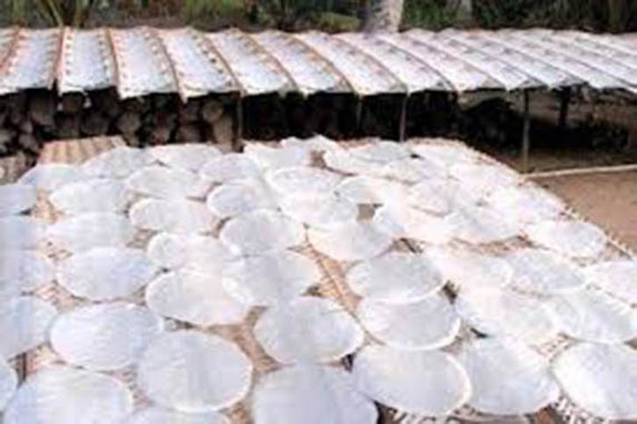 Eight specialties set Asian record - 6